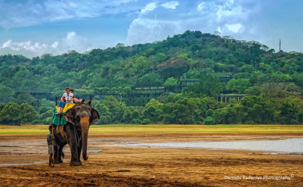 Simoya Nature Park Dambulla Dış mekan fotoğraf